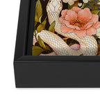 Enchanted Snake Framed Canvas Print Gallery Image 3