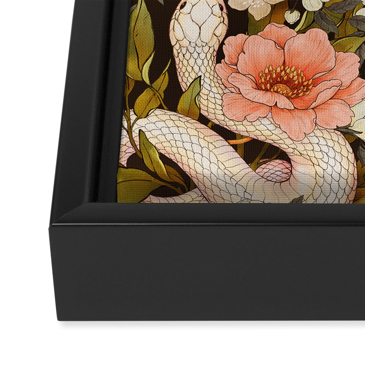 Enchanted Snake Framed Canvas Print Gallery Image 3
