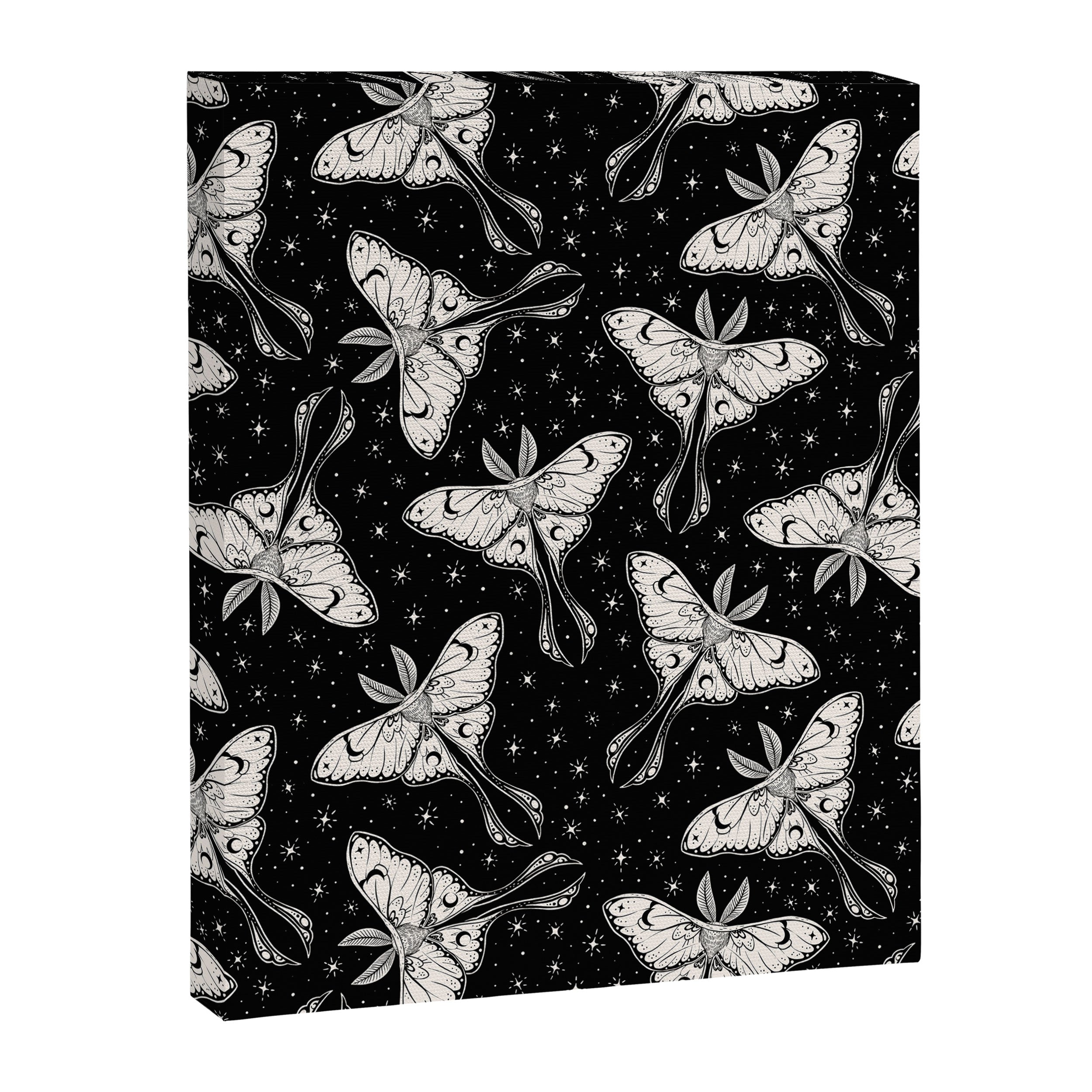Luna Moth In Black and White Canvas Print Gallery Image 6