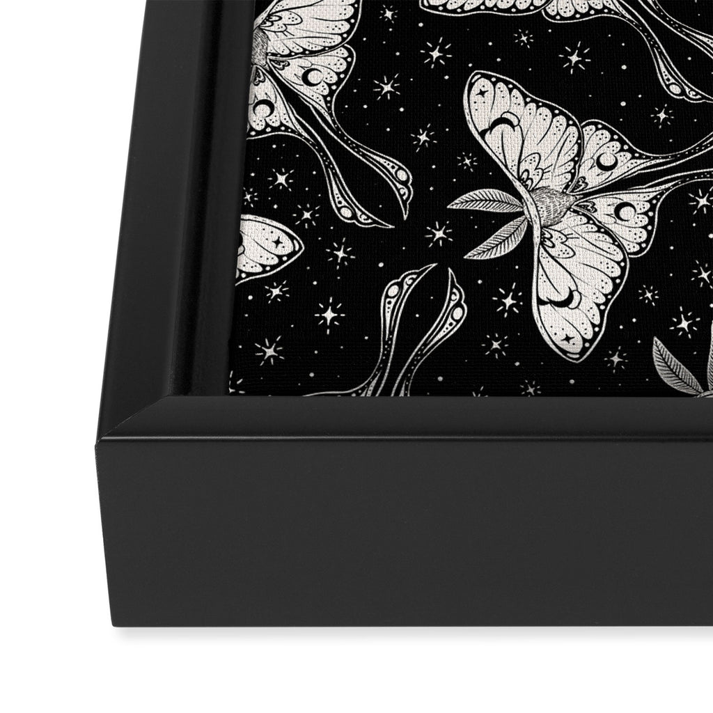 Luna Moth In Black and White Framed Canvas Print Gallery Image 3
