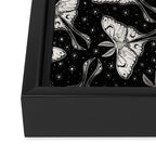 Luna Moth In Black and White Framed Canvas Print Gallery Image 3