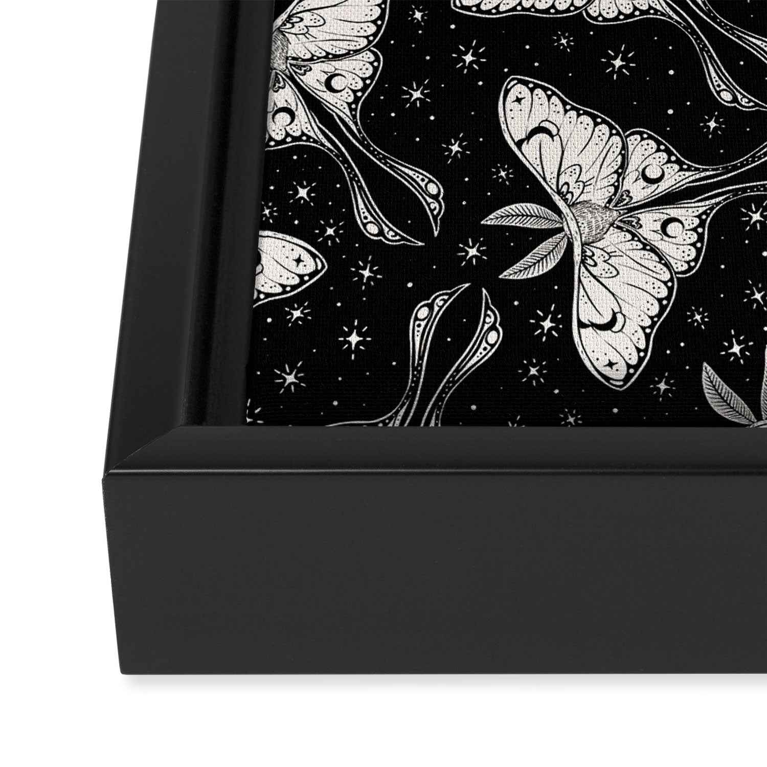 Luna Moth In Black and White Framed Canvas Print Gallery Image 3
