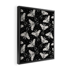 Luna Moth In Black and White Framed Canvas Print Gallery Image 2