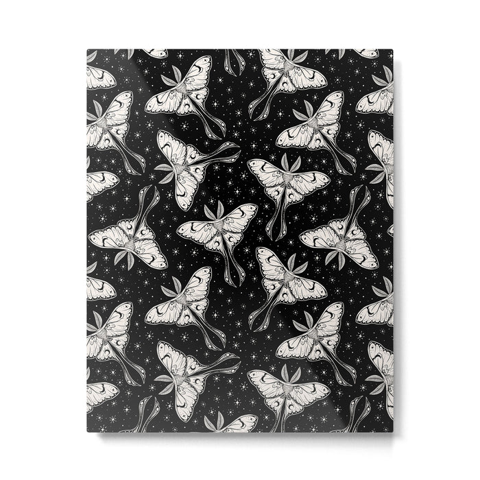 Luna Moth In Black and White Metal Print Gallery Image 1