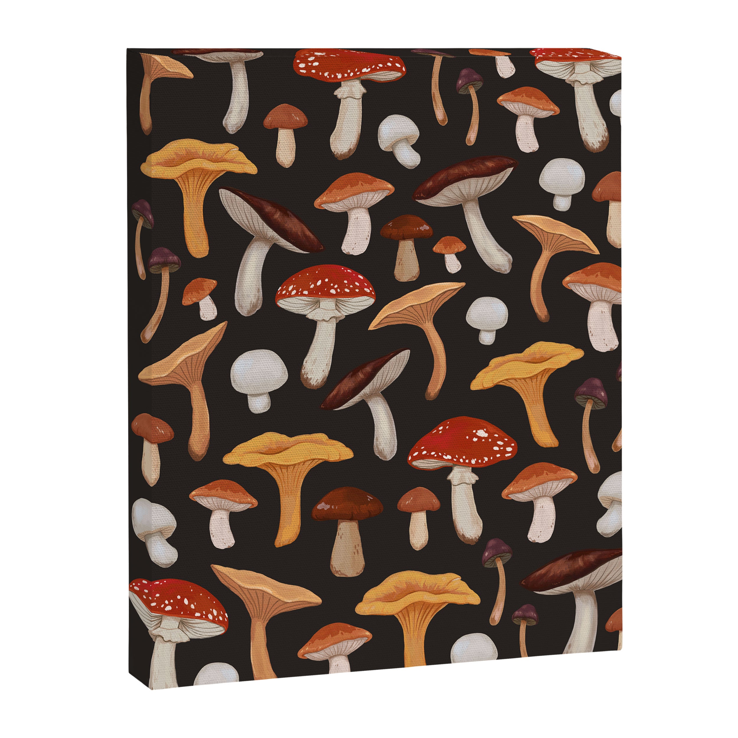 Mushroom Medley Canvas Print Gallery Image 6