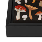 Mushroom Medley Framed Canvas Print Gallery Image 3