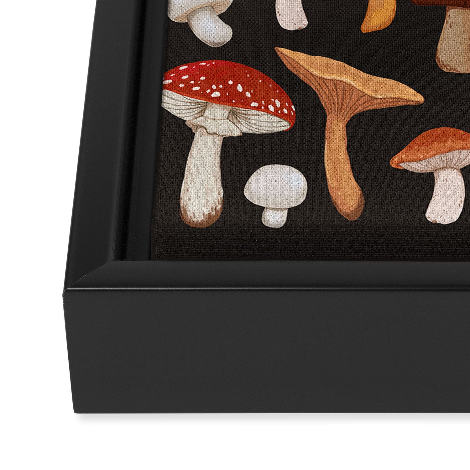 Mushroom Medley Framed Canvas Print Gallery Image 3