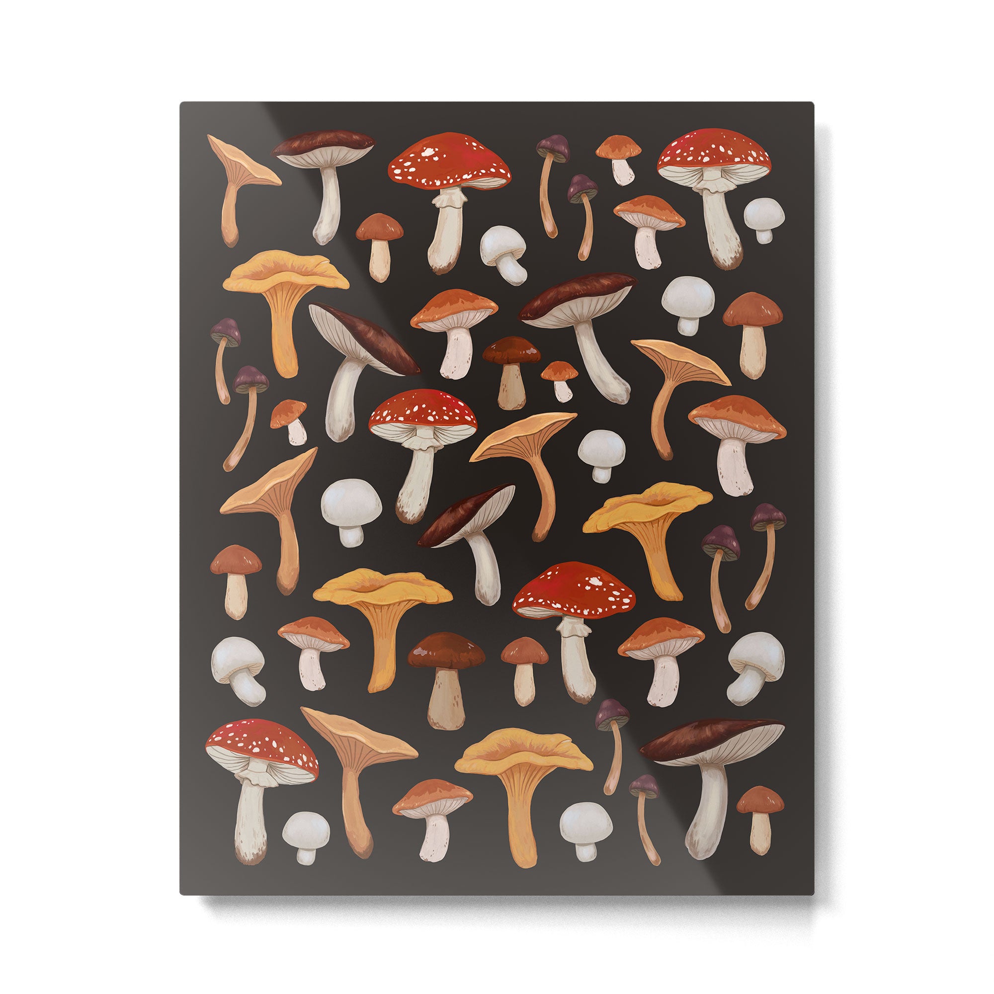 Mushroom Medley Metal Print Gallery Image 4