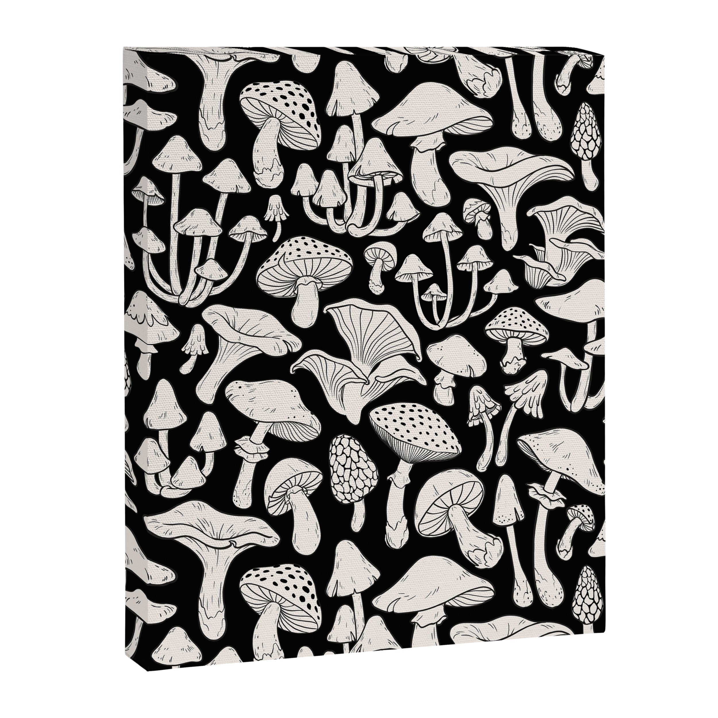 Mushrooms in Black And White Canvas Print Gallery Image 6