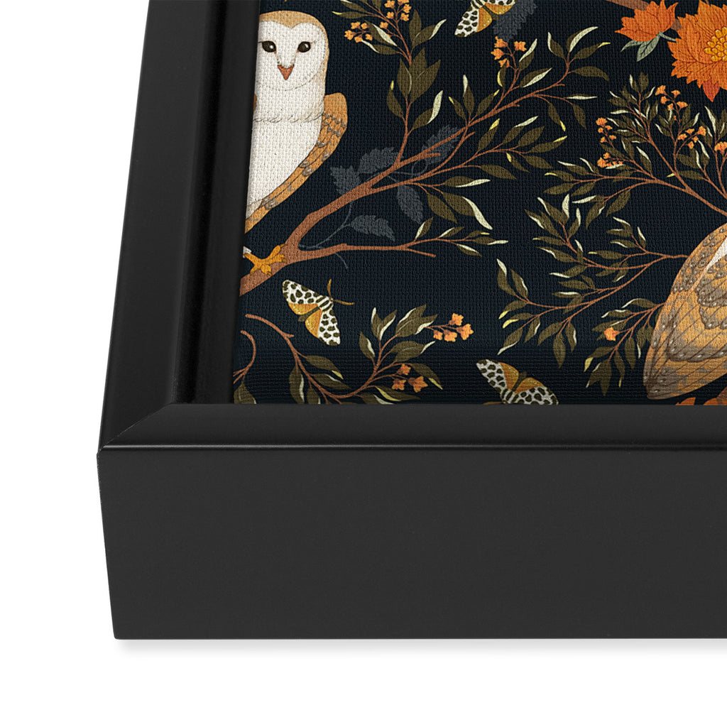 Night Owl Framed Canvas Print Gallery Image 3
