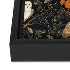 Night Owl Framed Canvas Print Gallery Image 3