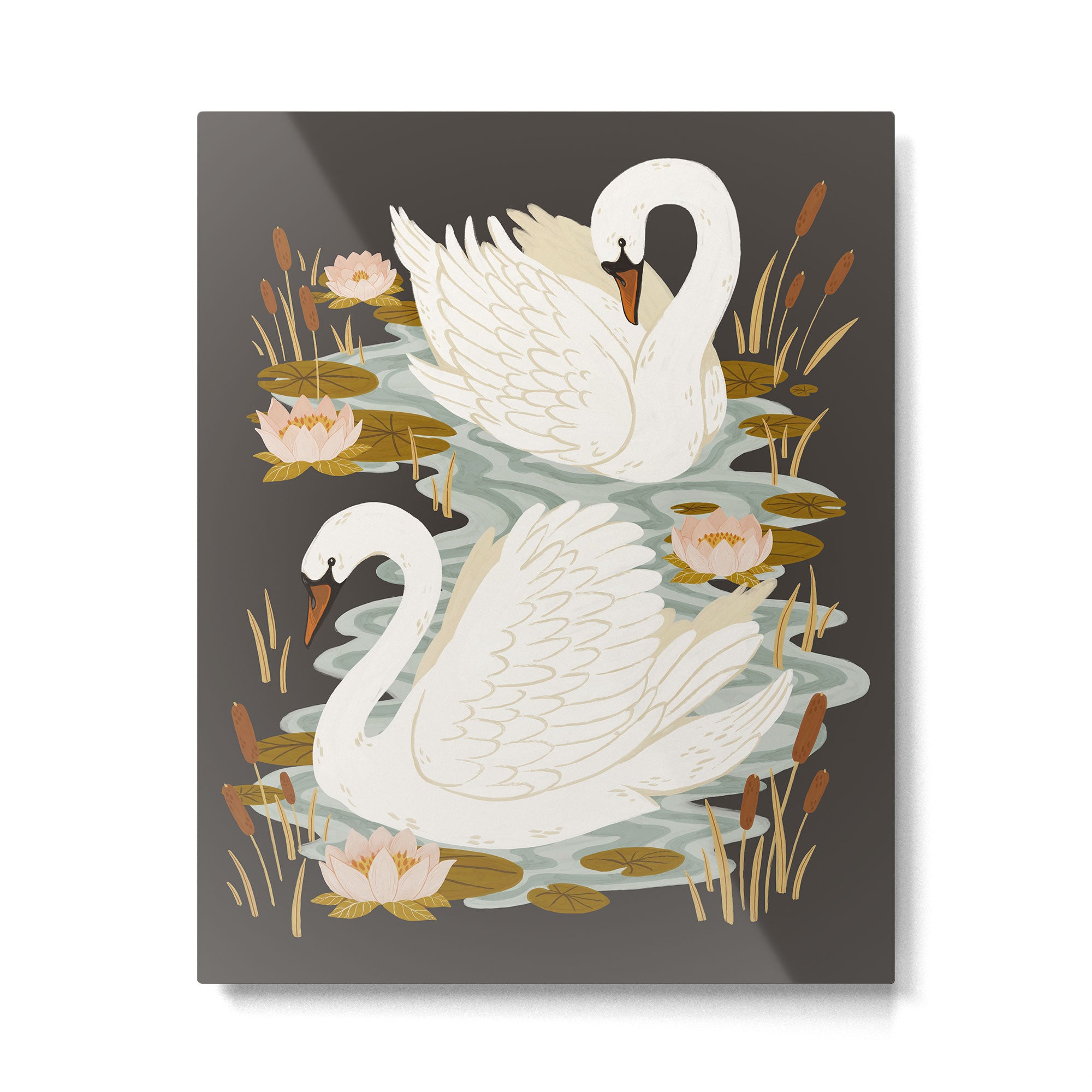 Swan Dance - Charcoal Black Background Metal Print Gallery Image 6