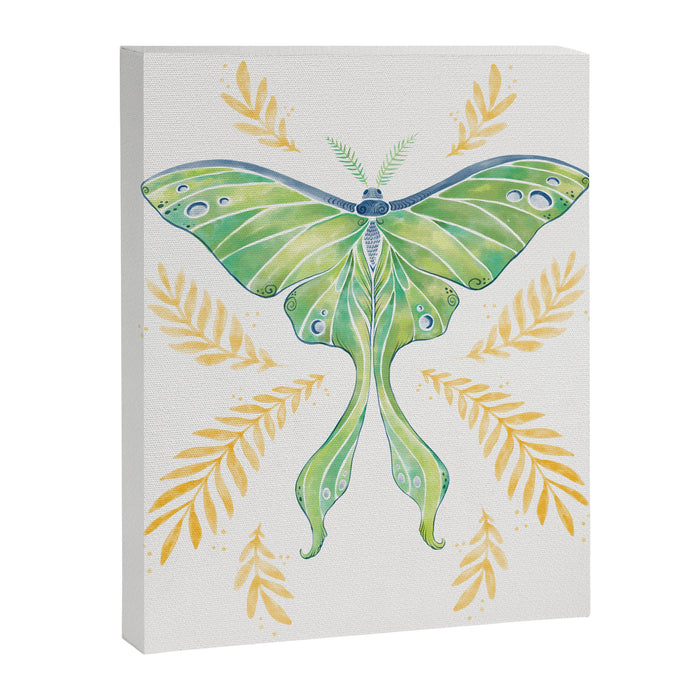 Watercolor Luna Moth Canvas Print Gallery Image 1