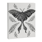 Watercolor Luna Moth in Black and White Canvas Print Gallery Image 6