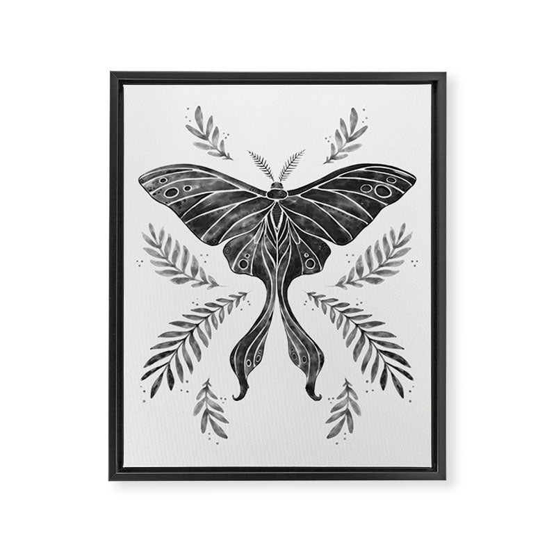 Watercolor Luna Moth in Black and White Framed Canvas Print Gallery Image 6
