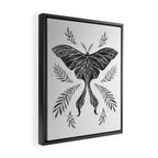 Watercolor Luna Moth in Black and White Framed Canvas Print Gallery Image 2