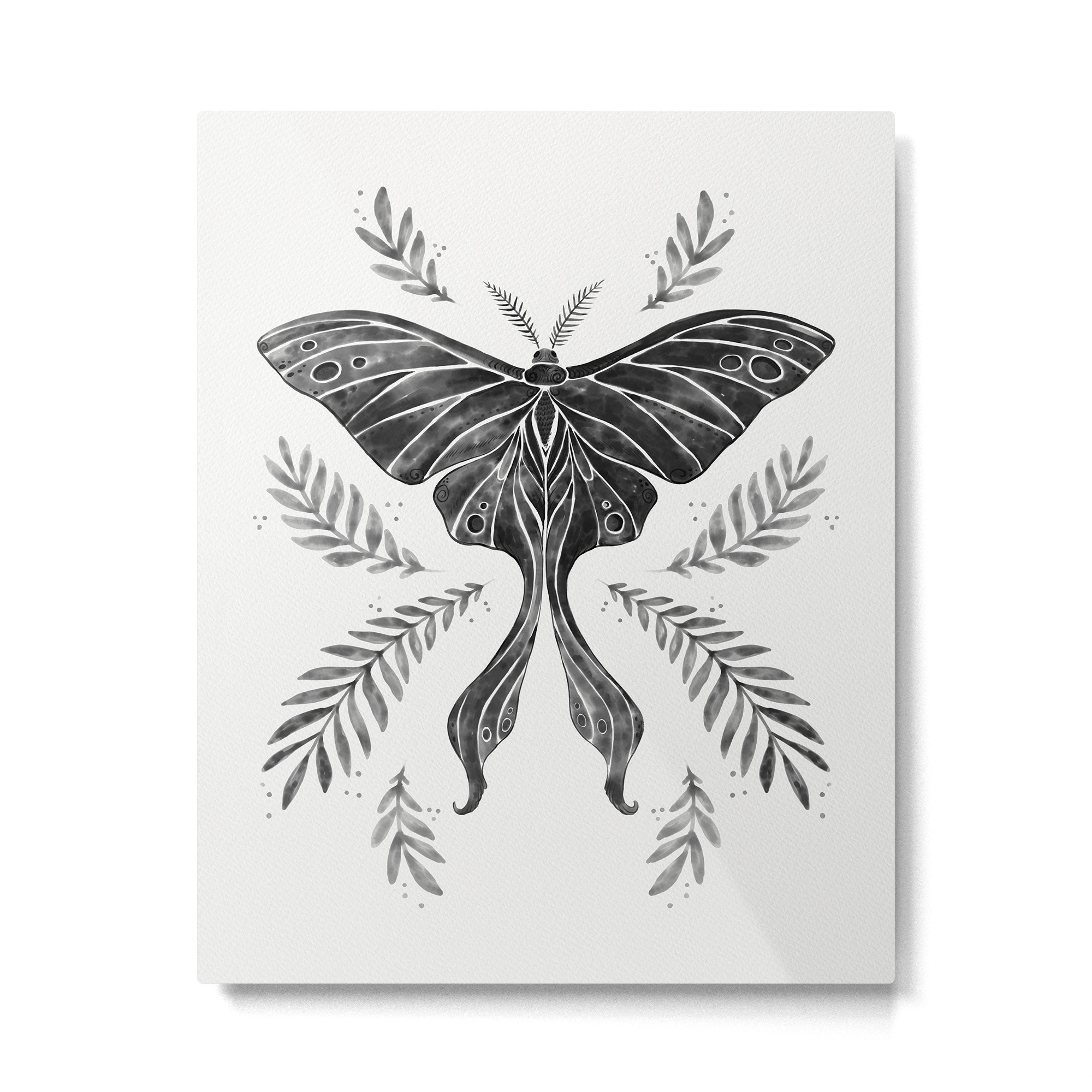 Watercolor Luna Moth in Black and White Metal Print Gallery Image 4