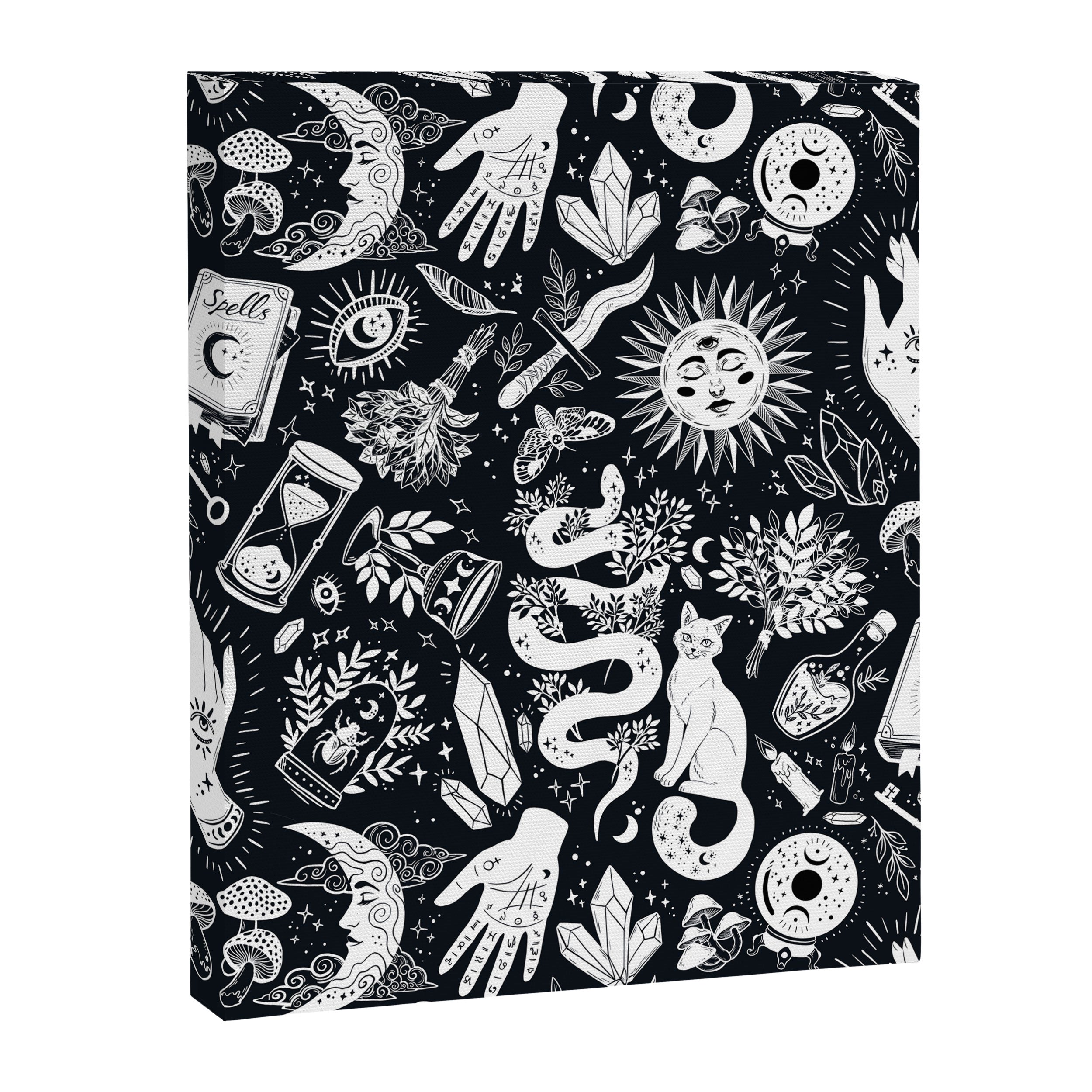 Witchy Things In Black And White Canvas Print Gallery Image 6