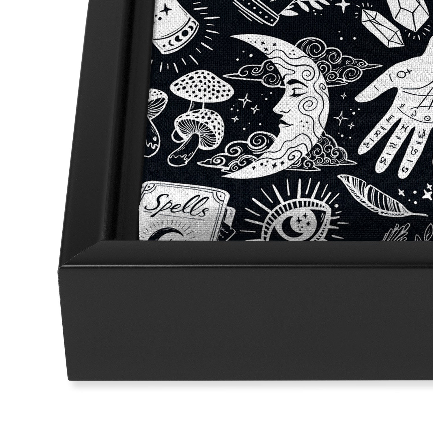 Witchy Things In Black And White Framed Canvas Print Gallery Image 3
