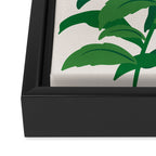 Botanica 02: Matisse Edition Framed Canvas Print Gallery Image 3