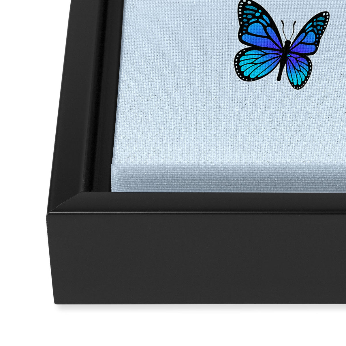 Butterfly Blues | Blue Morpho Butterflies Collage Framed Canvas Print Gallery Image 3
