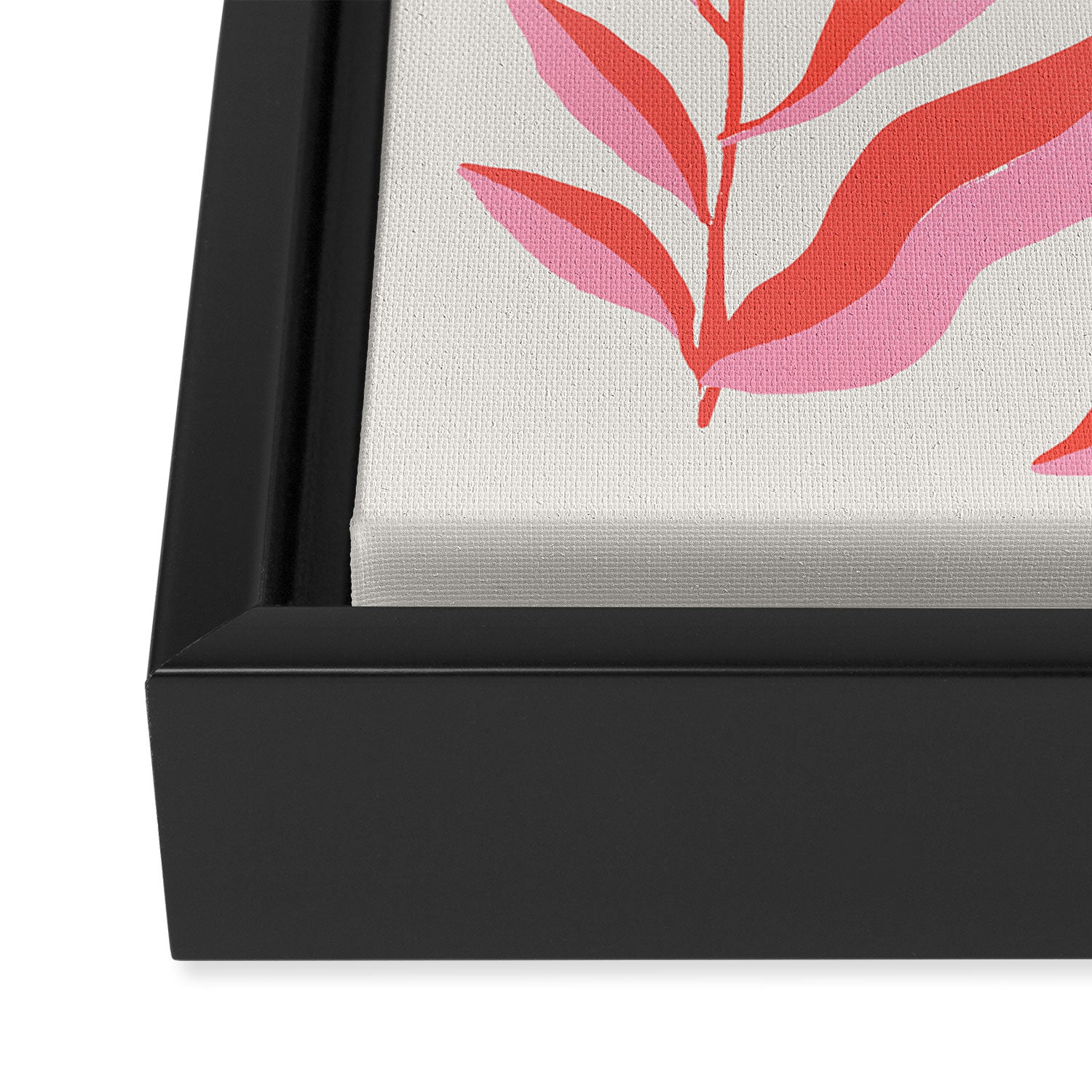 Ferns: Peach Matisse Edition Framed Canvas Print Gallery Image 3