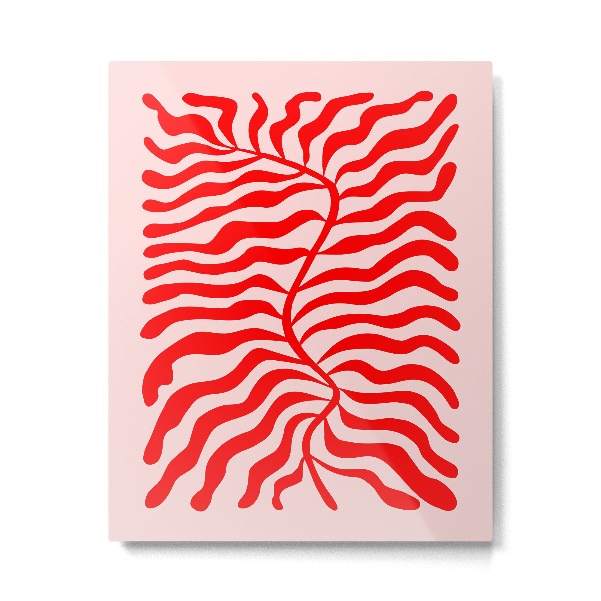 Funky Herbs: Matisse Edition Metal Print Gallery Image 4