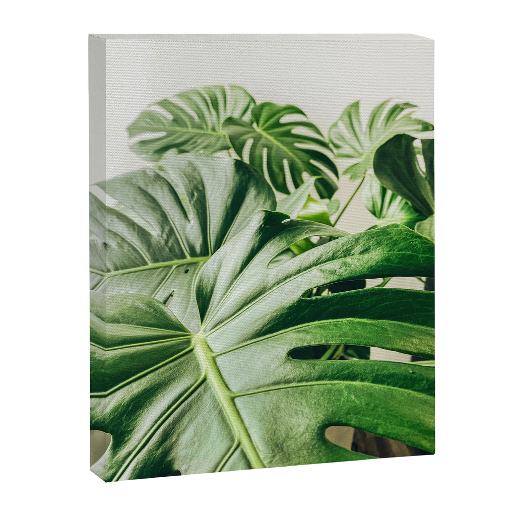 House Plants: Minimal Monstera Leaves Canvas Print Gallery Image 6