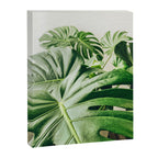House Plants: Minimal Monstera Leaves Canvas Print Gallery Image 6