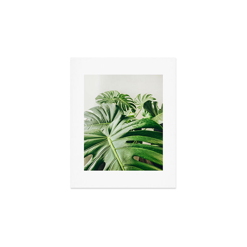 House Plants: Minimal Monstera Leaves Art Print Gallery Image 1