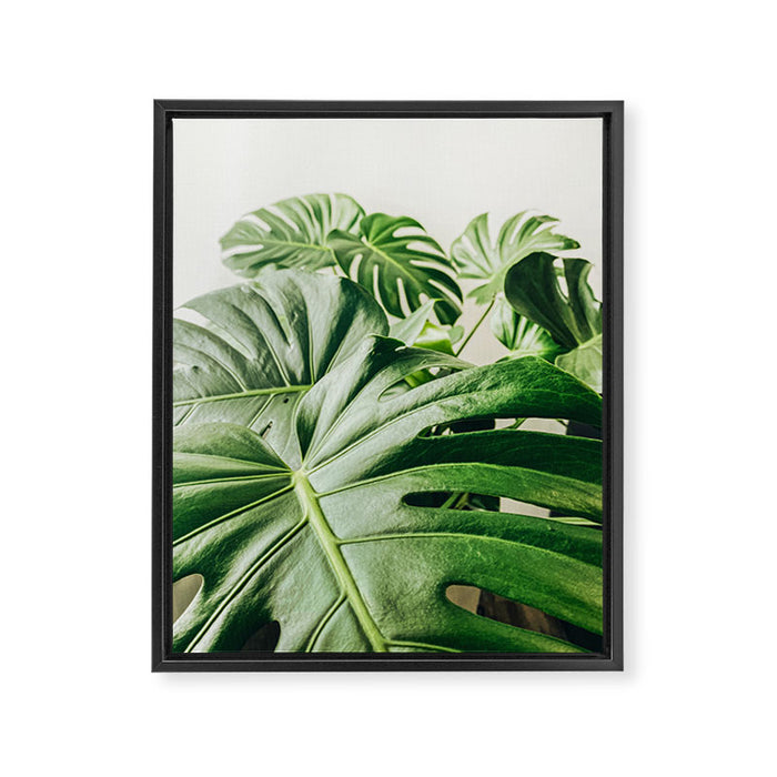 House Plants: Minimal Monstera Leaves Framed Canvas Print Gallery Image 1