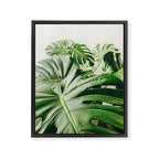 House Plants: Minimal Monstera Leaves Framed Canvas Print Gallery Image 6