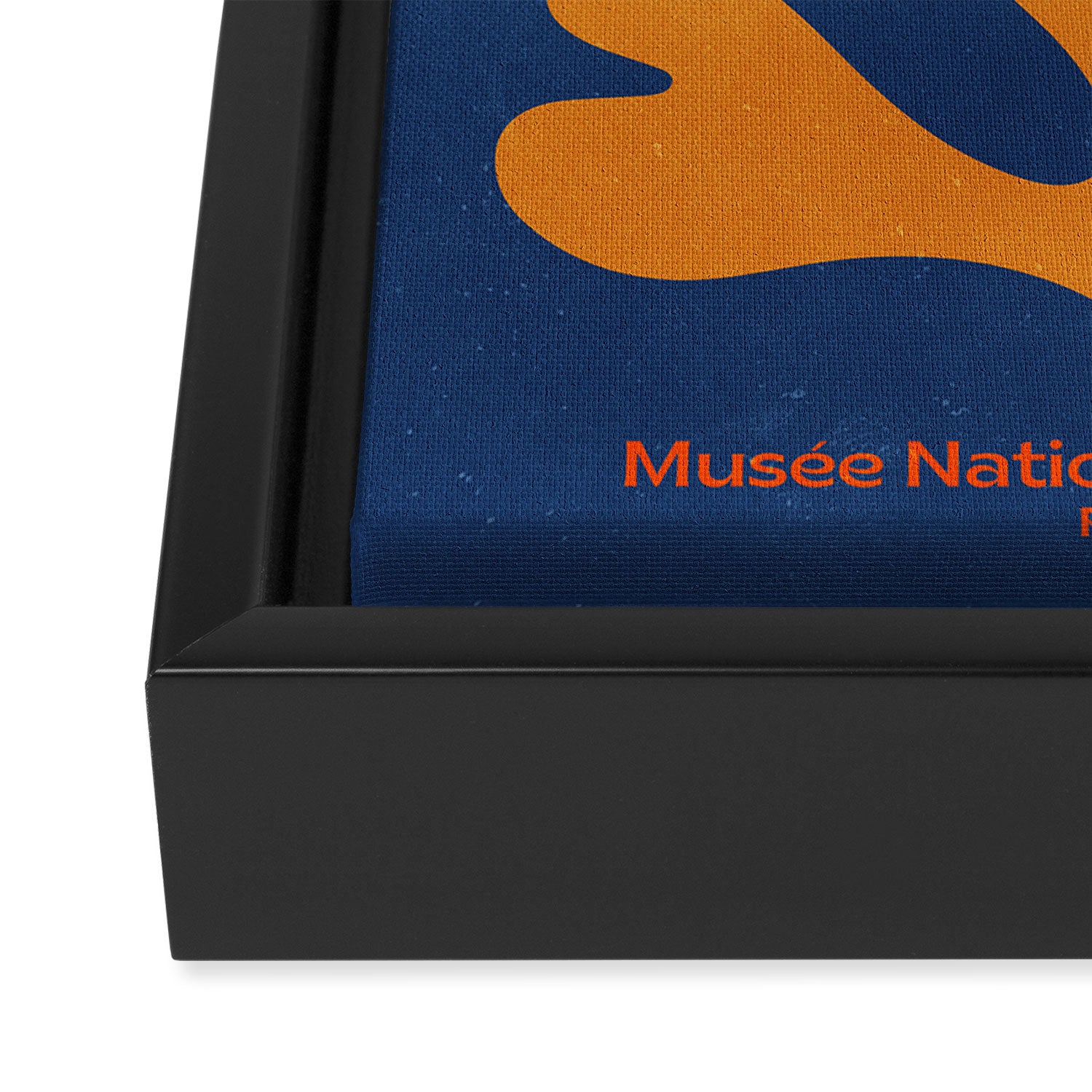 Indigo Sun: Paper Cutouts Matisse Edition Framed Canvas Print Gallery Image 3