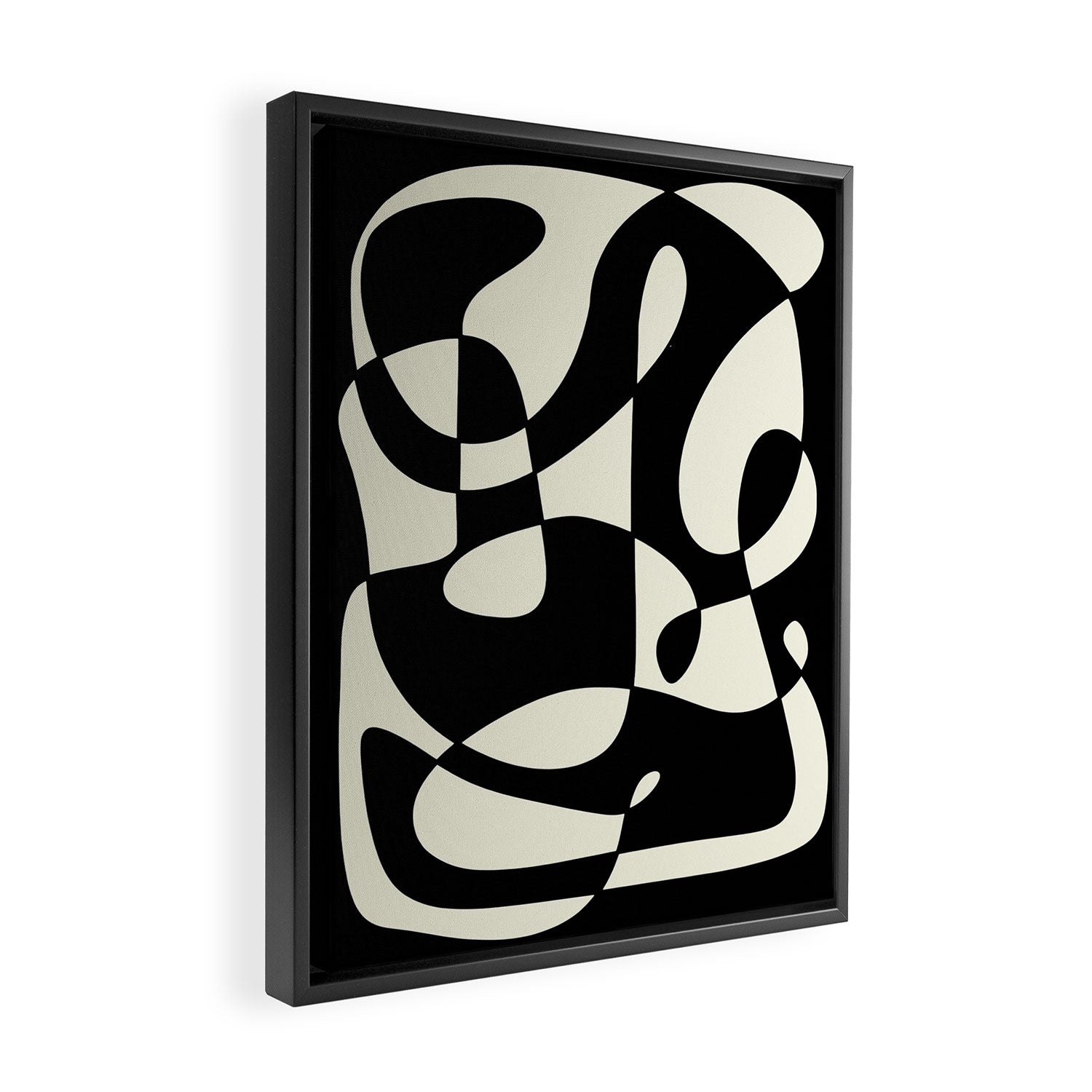 MIRROR 01 Framed Canvas Print Gallery Image 2