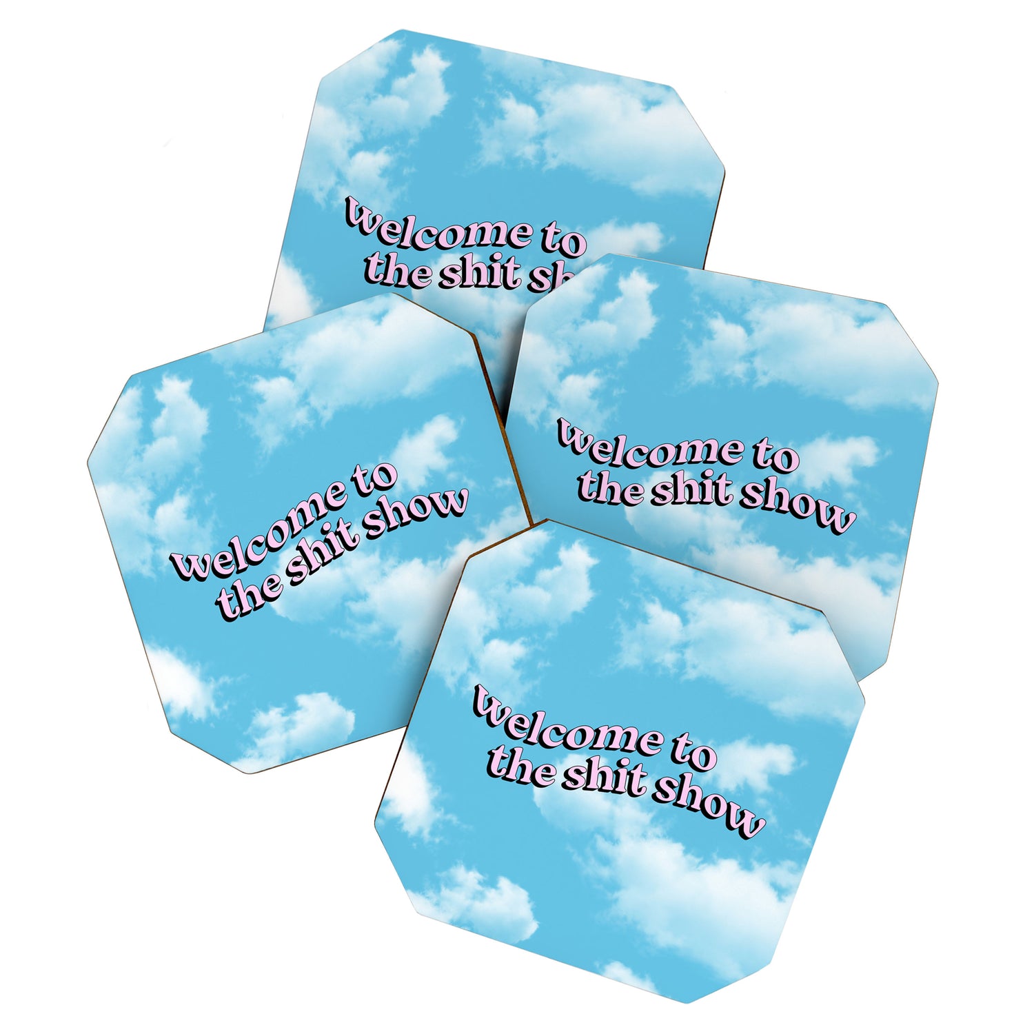 Welcome to the Shit Show: Sky Edition | Welcome to the Shitshow Coaster Gallery Image 1