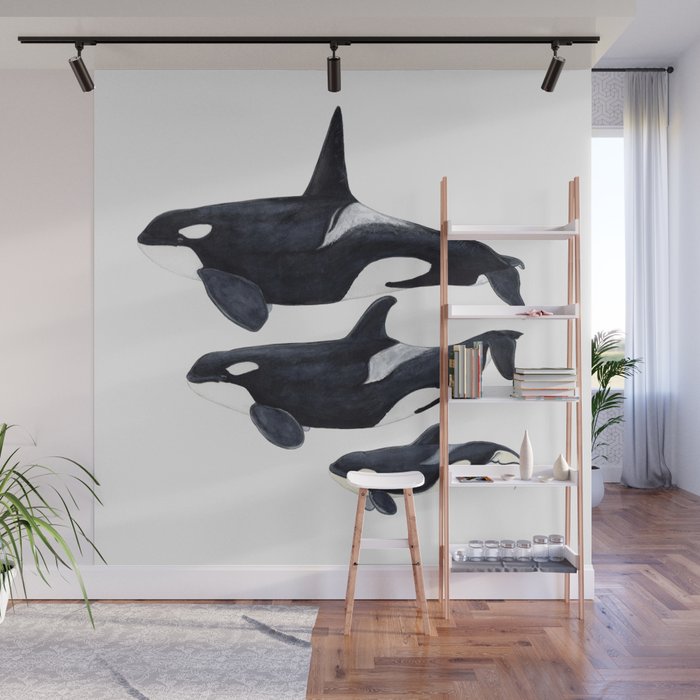 Orca (Orcinus orca) Wall Mural Gallery Image 1