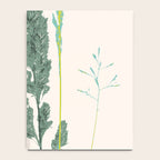 Plant based happyness Grasses 2 still life Notebook Gallery Image 4