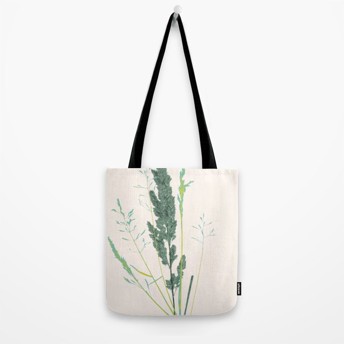 Plant based happyness Grasses 2 still life Tote Bag Gallery Image 2
