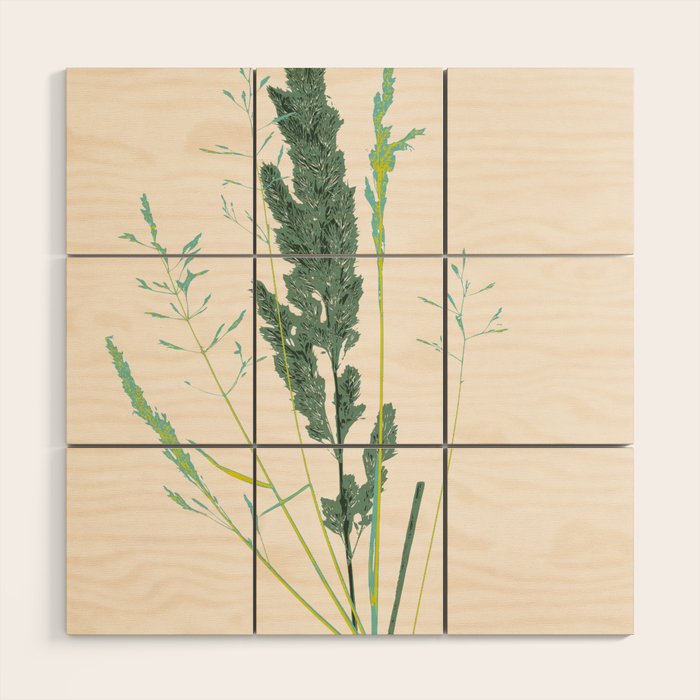 Plant based happyness Grasses 2 still life Wood Wall Art Gallery Image 1