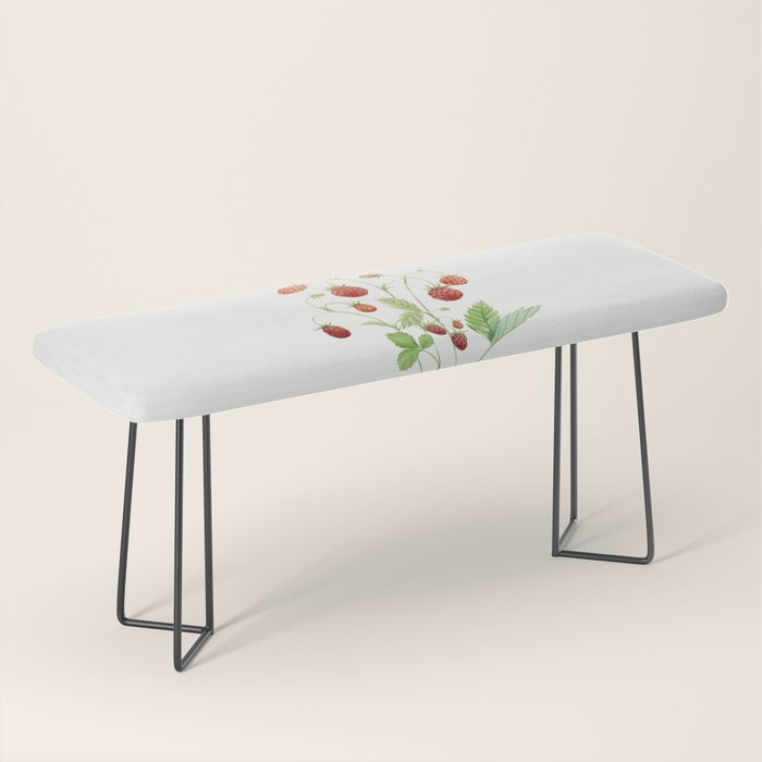Wild Strawberries Bench Gallery Image 1