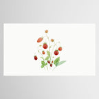 Wild Strawberries Tablecloth Gallery Image 2