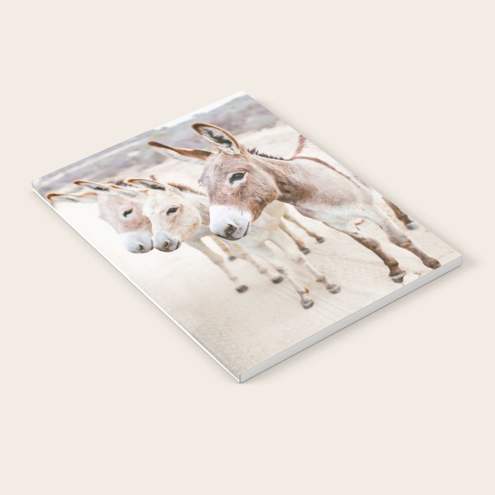 Three Donkeys in Baja, Mexico Notebook Gallery Image 2