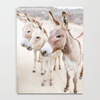 Three Donkeys in Baja, Mexico Notebook Gallery Image 4