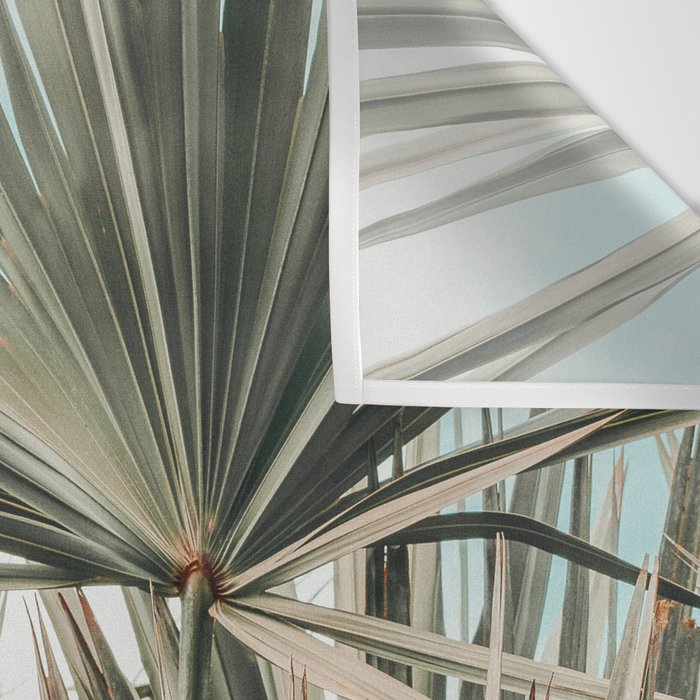 Coastal Morning  palmetto botanical leaf photograph Wall Tapestry Gallery Image 3