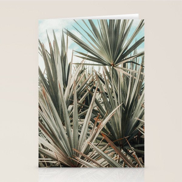 Coastal Morning  palmetto botanical leaf photograph Stationery Card Gallery Image 1