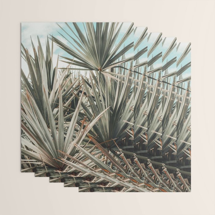 Coastal Morning  palmetto botanical leaf photograph Wrapping Paper Gallery Image 3