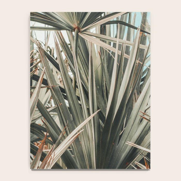Coastal Morning  palmetto botanical leaf photograph Notebook Gallery Image 4