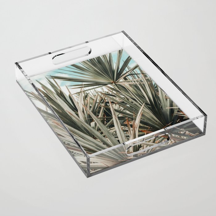 Coastal Morning  palmetto botanical leaf photograph Acrylic Tray Gallery Image 1