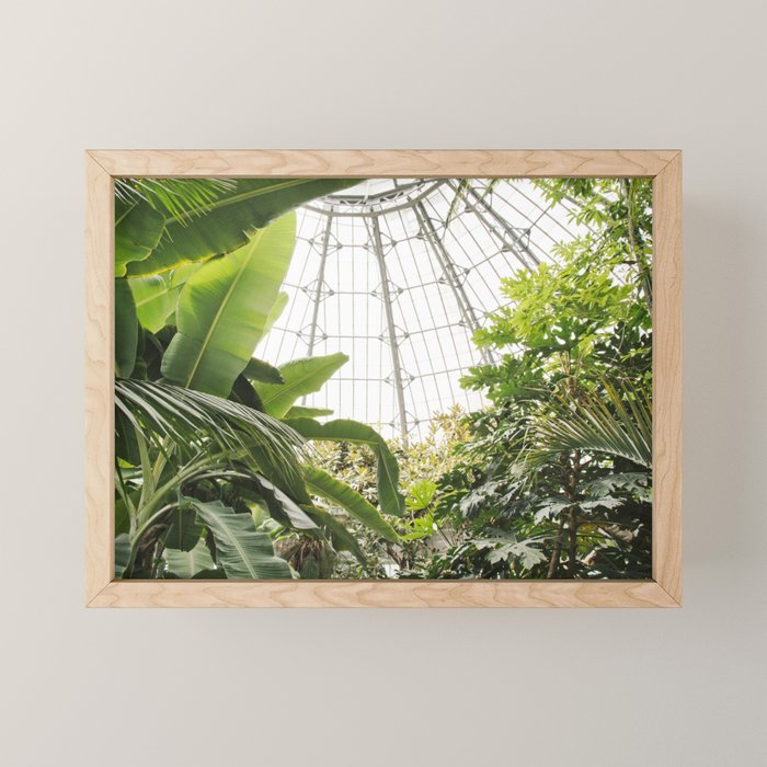 Tropical Greenhouse #1 Mini Art Print Gallery Image 1