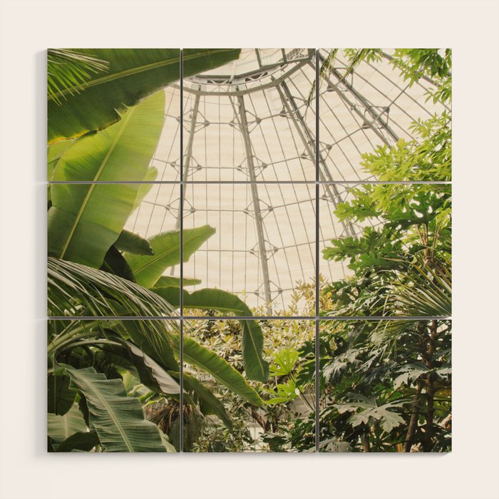 Tropical Greenhouse #1 Wood Wall Art Gallery Image 1
